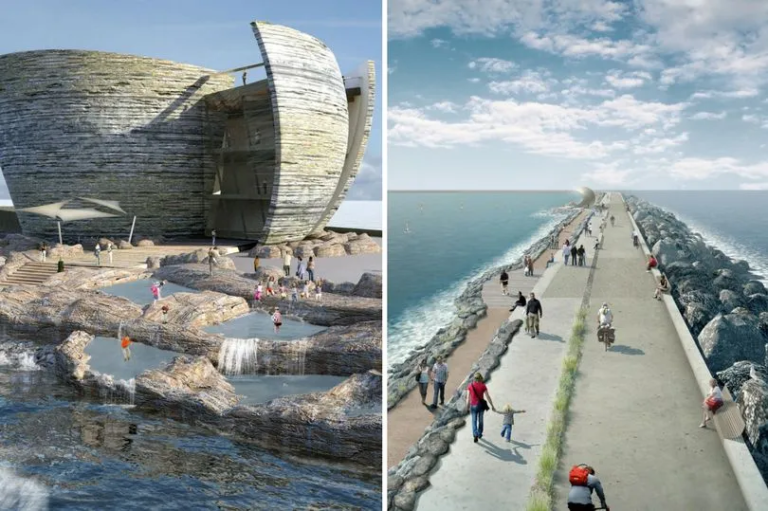 Swansea Bay Tidal Lagoon is ‘at risk’ because of lack of UK Government action